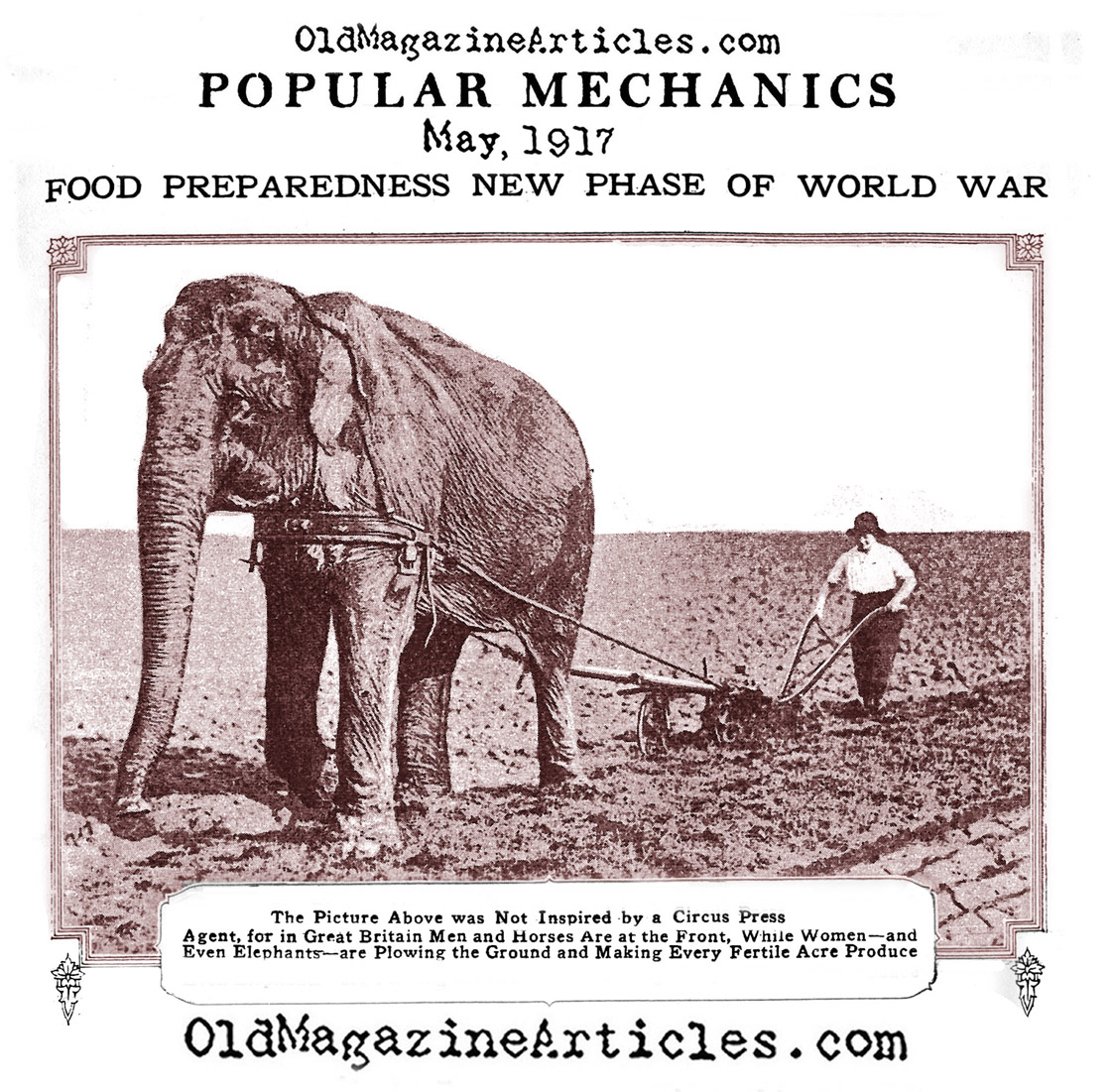 The Elephant on the British Home  Front (Popular Mechanics, 1917)